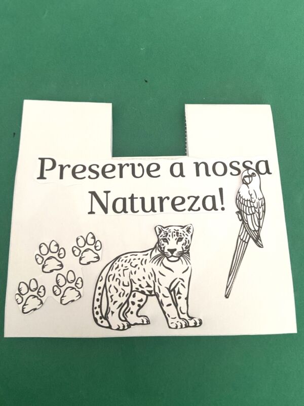 Dia da Amazônia - Image 2