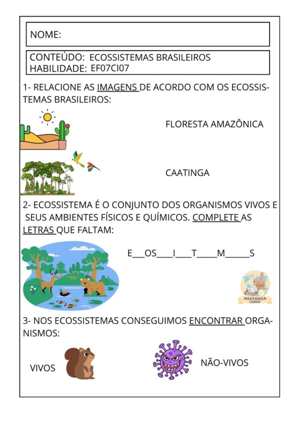 Atividades Autismo Ciências 6º ao 9º ano - Image 4