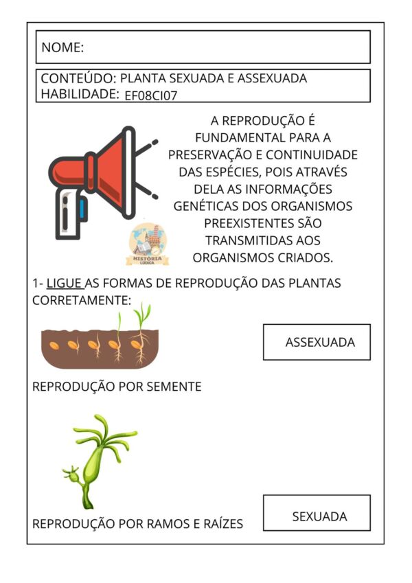 Atividades Autismo Ciências 6º ao 9º ano - Image 2
