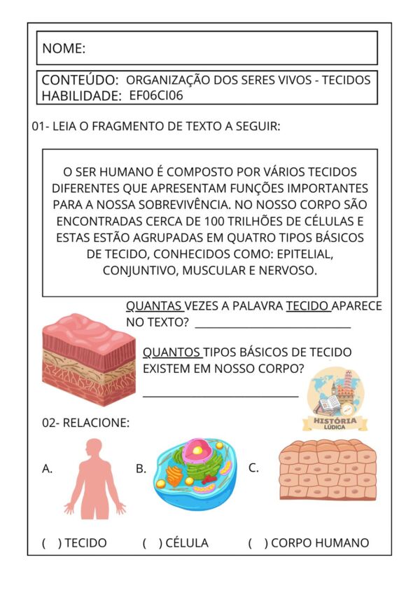 Atividades Autismo Ciências 6º ao 9º ano - Image 3
