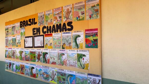 Folder Brasil em chamas - Image 4
