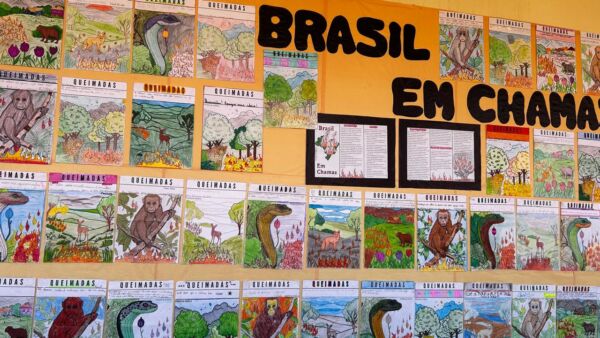 Folder Brasil em chamas - Image 3