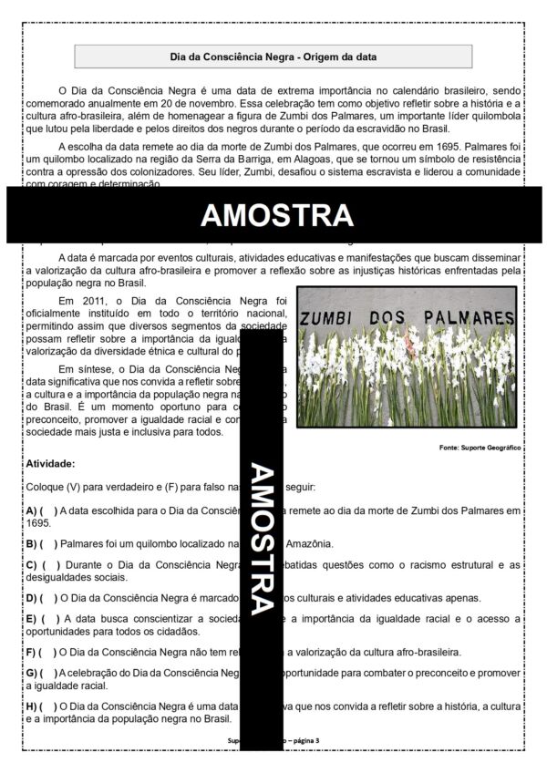 40 atividades Consciência Negra - Image 9