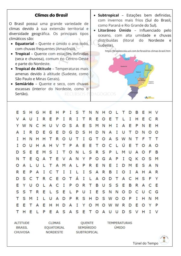 Kit 01 Caça-Palavras Geografia - Image 3