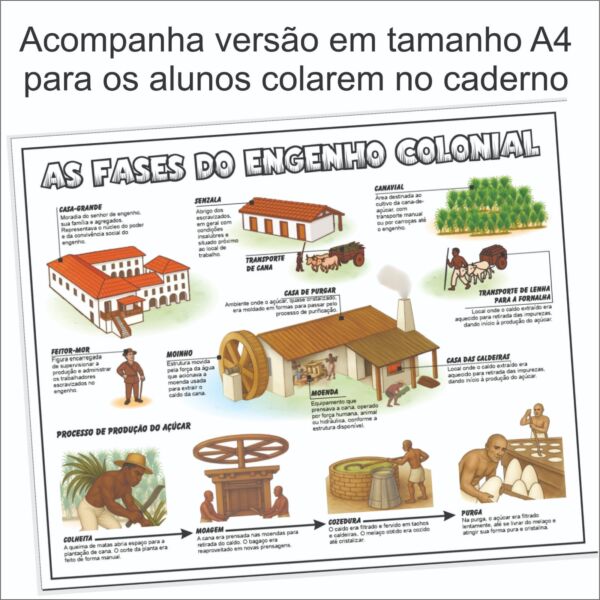 PAINEL - As fases do Engenho Colonial