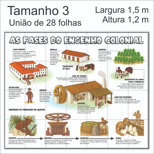 PAINEL - As fases do Engenho Colonial - Image 5