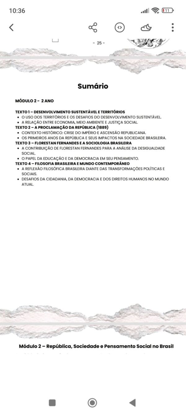 Apostila de História - 2ª série E.M - Imagem 9