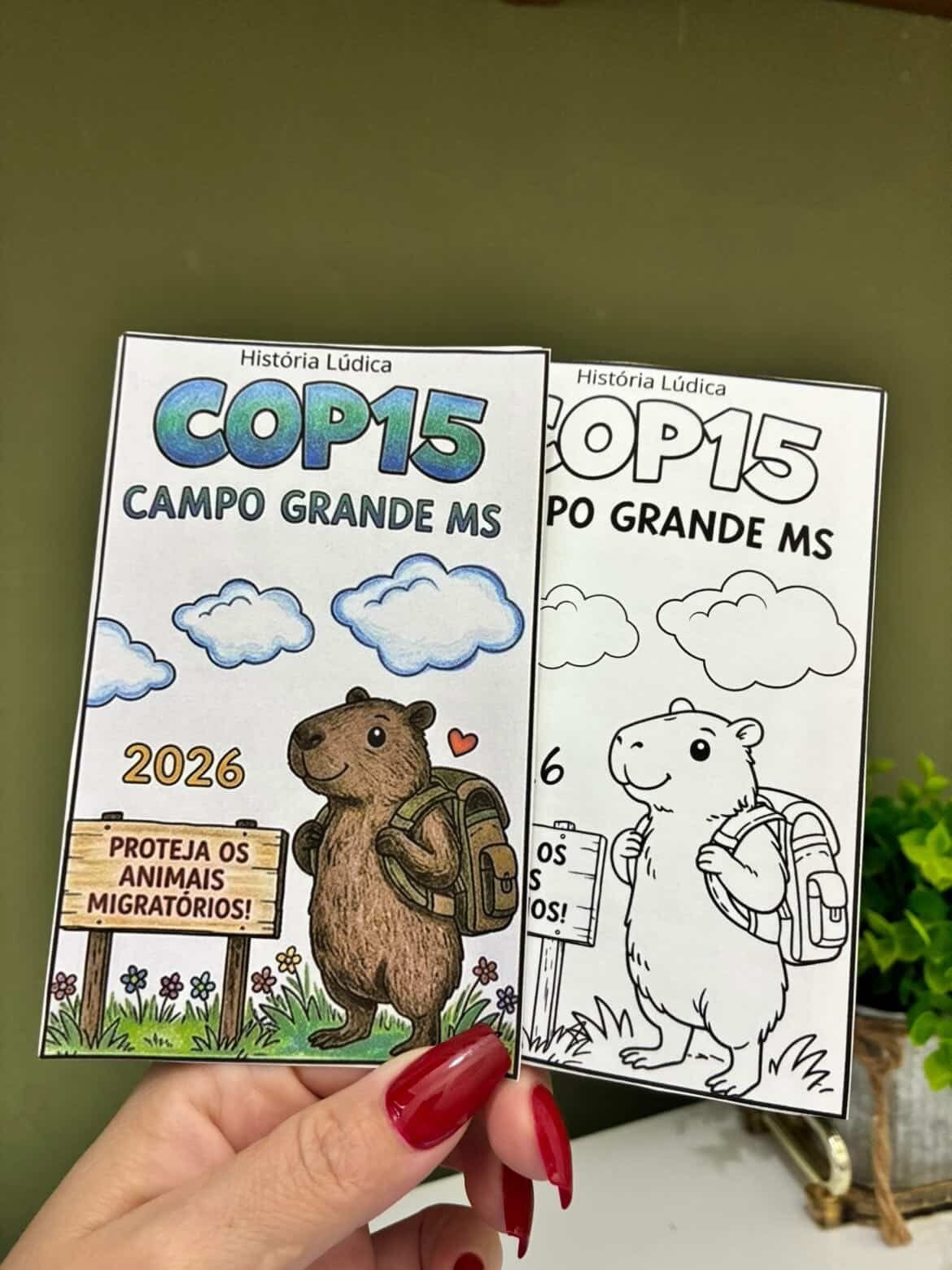 Folder COP15 2026 - Imagem 2